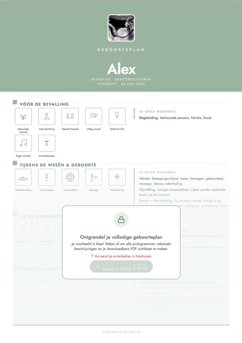 Geboorteplan voorbeeld in minimalistische stijl voor baby Alex